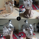 Illustration for article titled Forensic Artist Reveals the Face for that Skull-Shaped Vodka Bottle